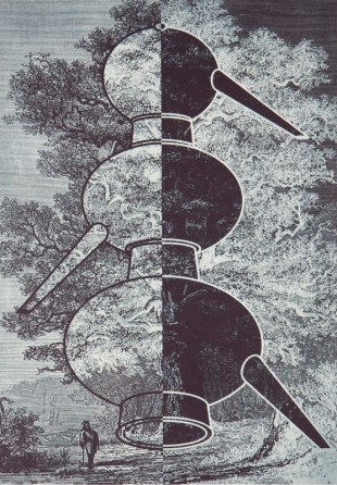 Alchemy and Nature. Tree of Life 3, Photogravure with Chine Collet, 2008